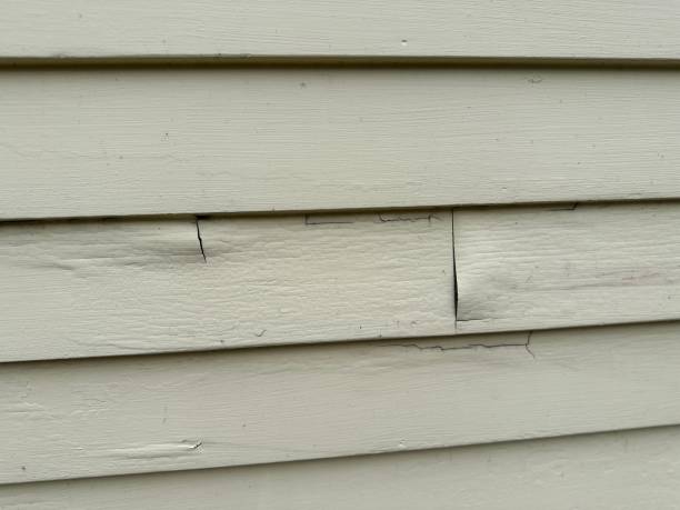 Professional Siding Installation & Repair in Mauriceville, TX